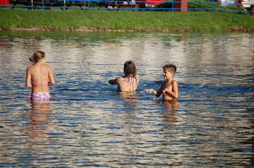 Obrázek v galerii